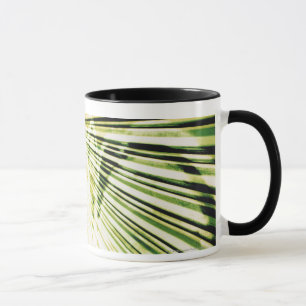 Taza Pintada en un obturador