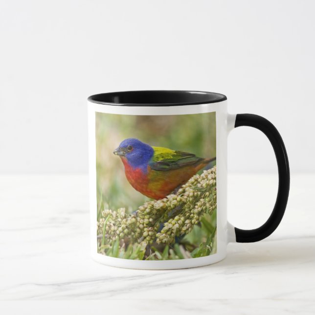 Taza Pintorito Americano (Derecha)