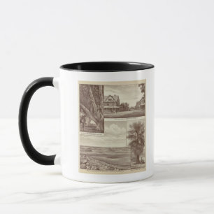 Taza Pioneer Land Co., Porterville