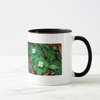 Taza Piso del bosque/taza del conejo del bebé
