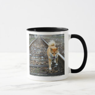 Taza Pista que camina del perro