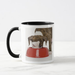 Taza Pitbull del perrito que come fuera de plato