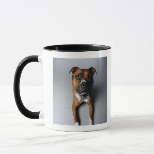 Taza Pitbull Terrier que se acuesta