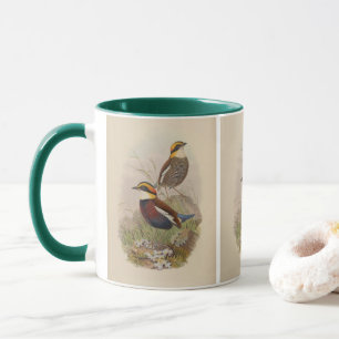 Taza Pitta de Van der Bosch por John Gould