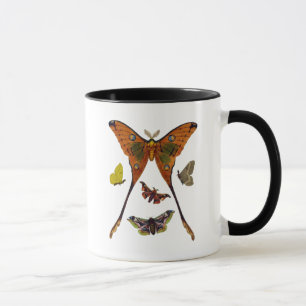 Taza Placa de moho 2