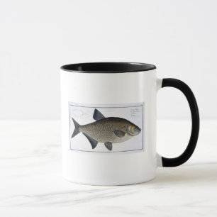 Taza Placa XIII de la brema (Brama del Cyprinus) de