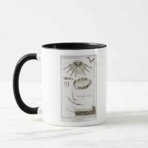 Taza Placa XX: La extensión y los funcionamientos de