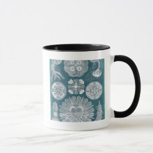 Taza Plano marino IV