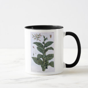 Taza Planta de tabaco, placa 7, de la 'colección
