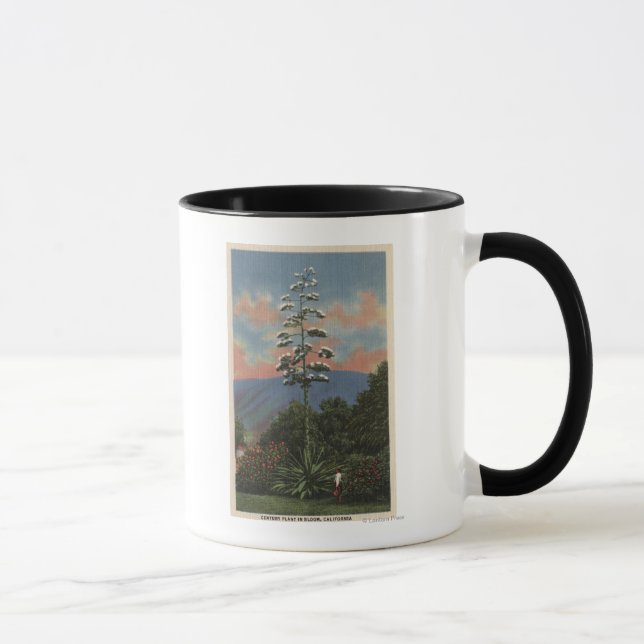 Taza Planta del siglo de California en flor (Derecha)