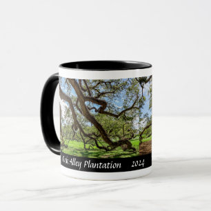 Taza Plantación Oak Alley, árboles de roble vivo del su