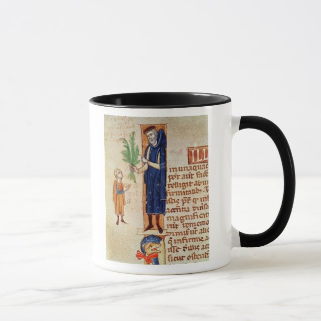 Taza Plantas medicinales (Derecha)