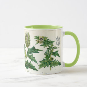 Taza Plantas venenosas