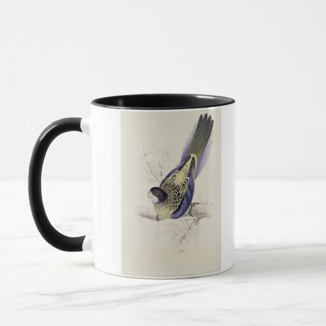Taza Platycercus Brownii, o el Parrakeet de Brown (Izquierda)