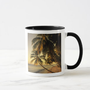Taza Playa al atardecer, Trinidad