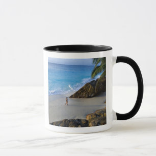 Taza Playa Ansi Victorin, Isla Fregate