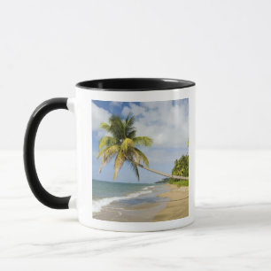 Taza Playa Coconut Grove en la Bahía Cades, con St. 2