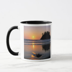 Taza Playa Estatal Trinidad, California. EE. UU. Mar
