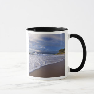Taza Playa Kihei, Maui, Hawái, EE. UU.
