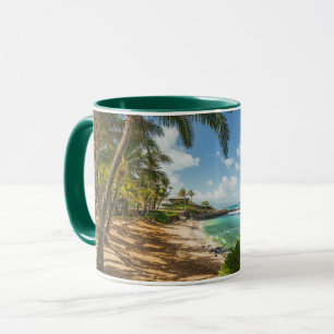 Taza Playa Kuau Cove Maui, Hawaii