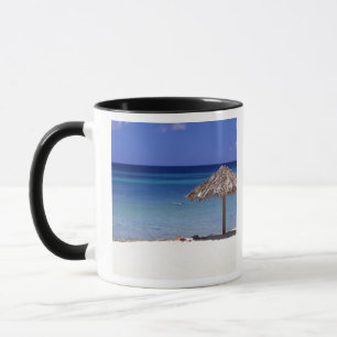 Taza Playa Malmok, Aruba, Antillas Neerlandesas