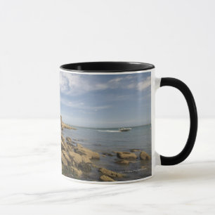 Taza Playa rocosa con viajar de la motora