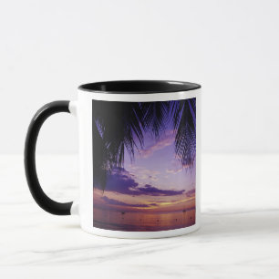 Taza Playas en Negril, Jamaica 2