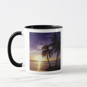 Taza Playas en Negril, Jamaica 3