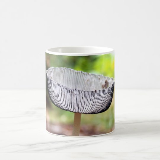 Taza plisada de la seta de Inkcap