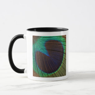 Taza Pluma del pavo real