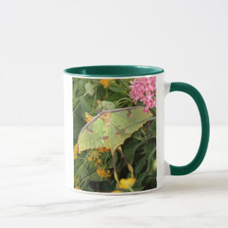 Taza polilla verde