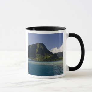 Taza Polinesia Francesa, Moorea. El Paul Gauguin