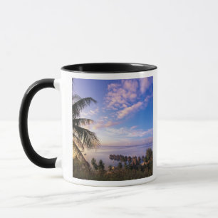 Taza Polinesia Francesa, Moorea. Vista de la Bahía de