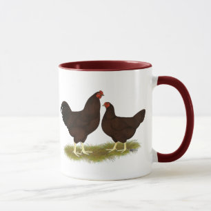 Taza Pollos de Buckeye