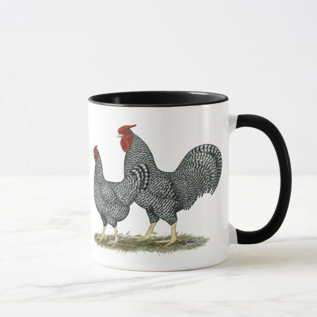 Taza Pollos de Dominique (Derecha)