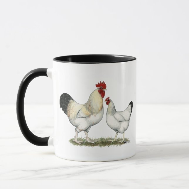 Taza Pollos del río Indio (Izquierda)