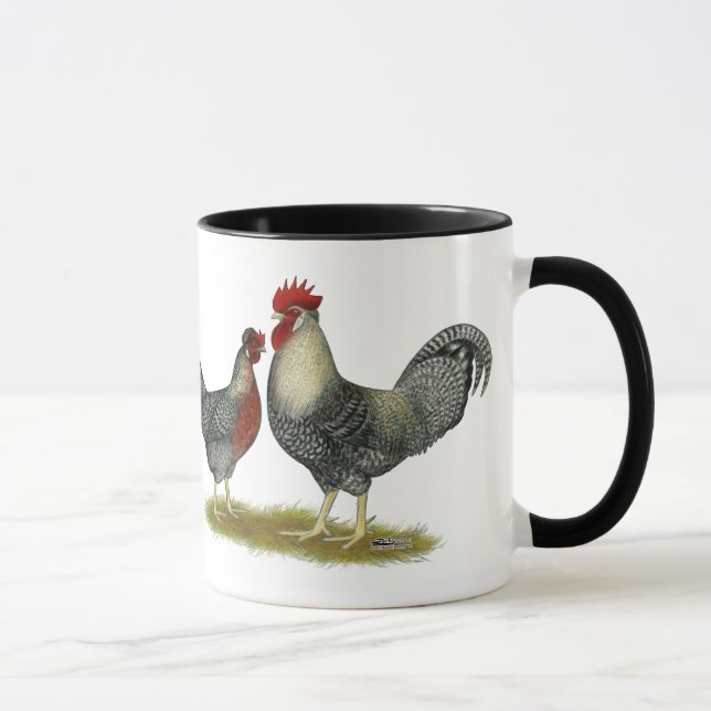 Taza Pollos poner crema de Legbar (Derecha)