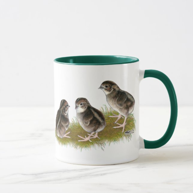 Taza Polluelos de las codornices del Coturnix (Derecha)