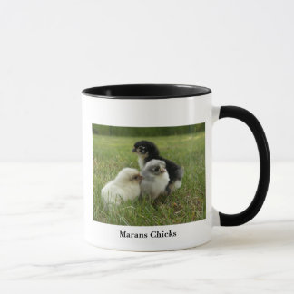 Taza Polluelos de Marans