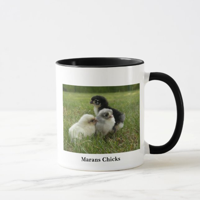 Taza Polluelos de Marans (Derecha)