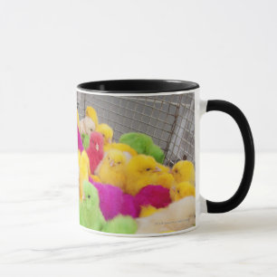 Taza Polluelos del bebé en una pluma en un mercado