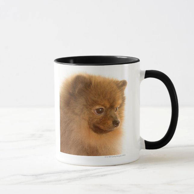 Taza Pomeranian (Derecha)