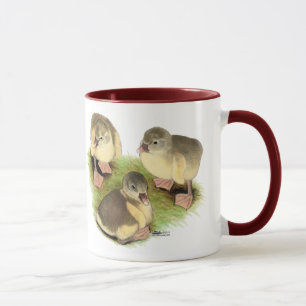 Taza Pomeranias Buff Goslings