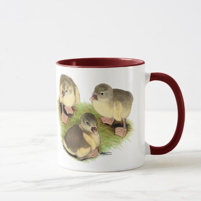 Taza Pomeranias Buff Goslings (Derecha)