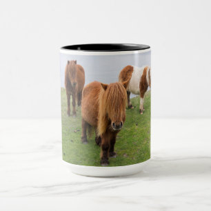 Taza Poni de Shetland en pastizal cerca de acantilados