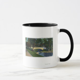Taza Portland, MaineDeering Oaks Arch Bridge View