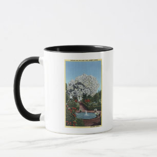 Taza Portland, Oregón - Piscina española y árbol fantas