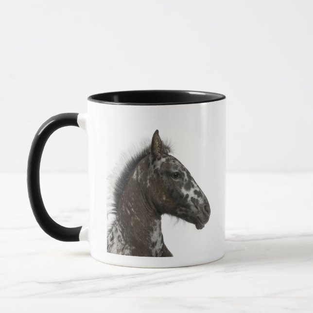 Taza potro del híbrido entre un Appaloosa y una a (Izquierda)