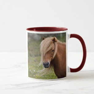 Taza Potro islandés