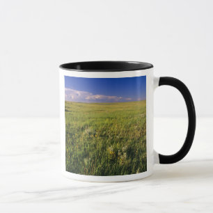Taza Pradera de hierba corta en el remoto noreste